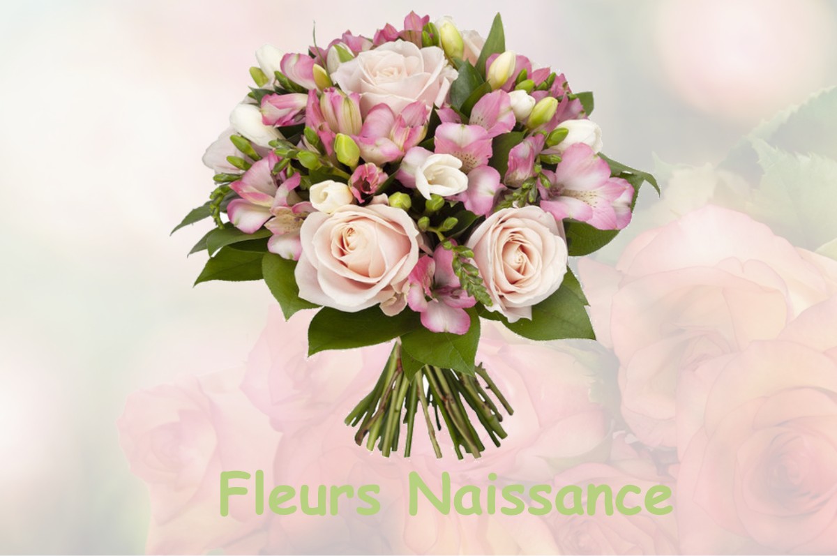 fleurs naissance CERNAY-L-EGLISE
